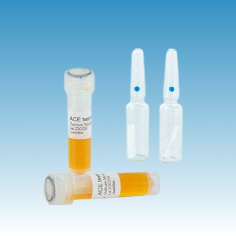 H6302K 福泽爱斯干热灭菌生物指示剂