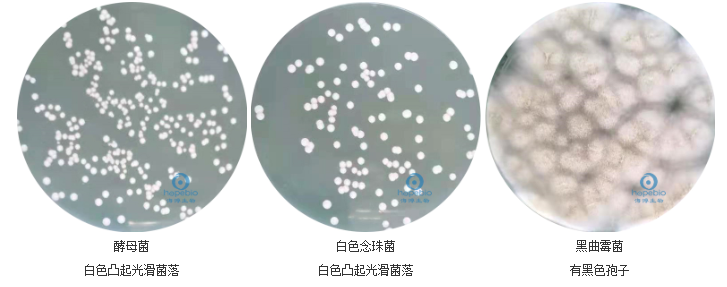 47341211.png 47341211.png