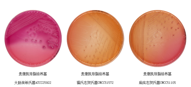 81712976.png 81712976.png