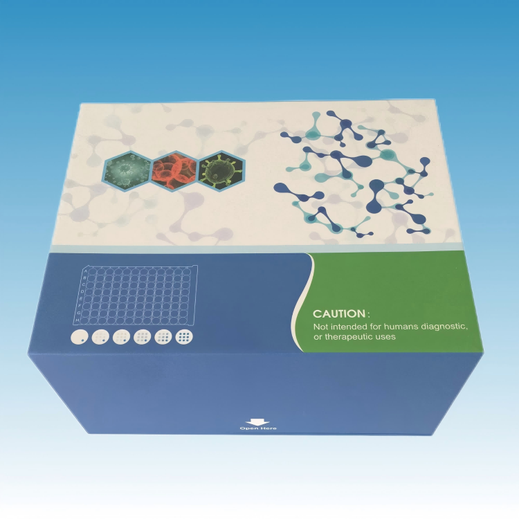 ELISA科研试剂盒-人