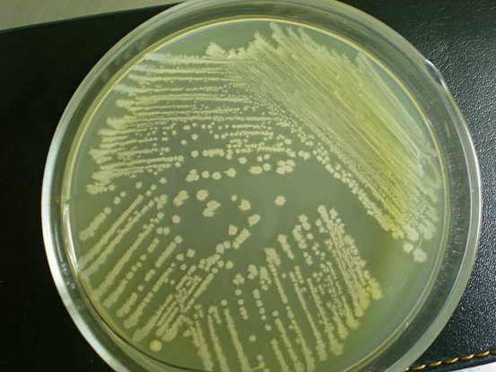 78233633.png 78233633.png