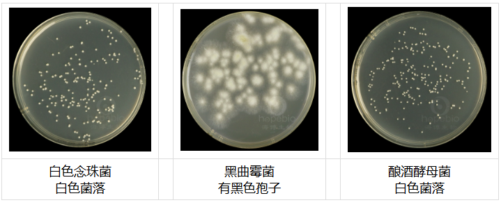 63858347.png 63858347.png