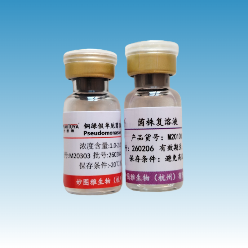 M20303 铜绿假单胞菌CMCC(B)10104（E3）